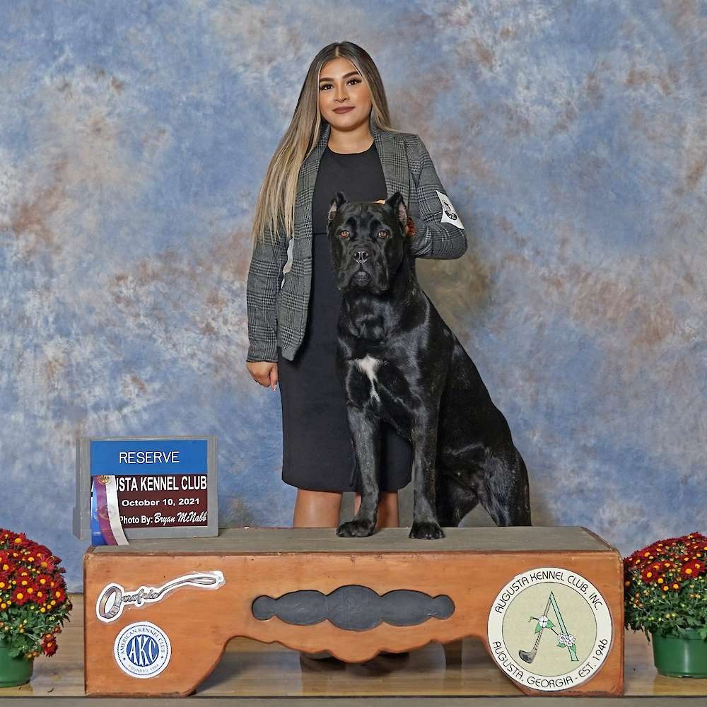 Castillo’s Khaleesi