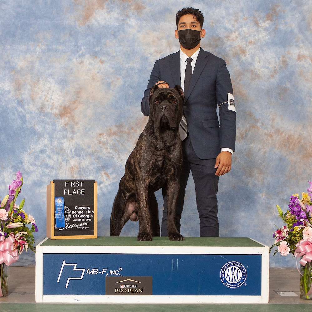 Castillo’s Batista