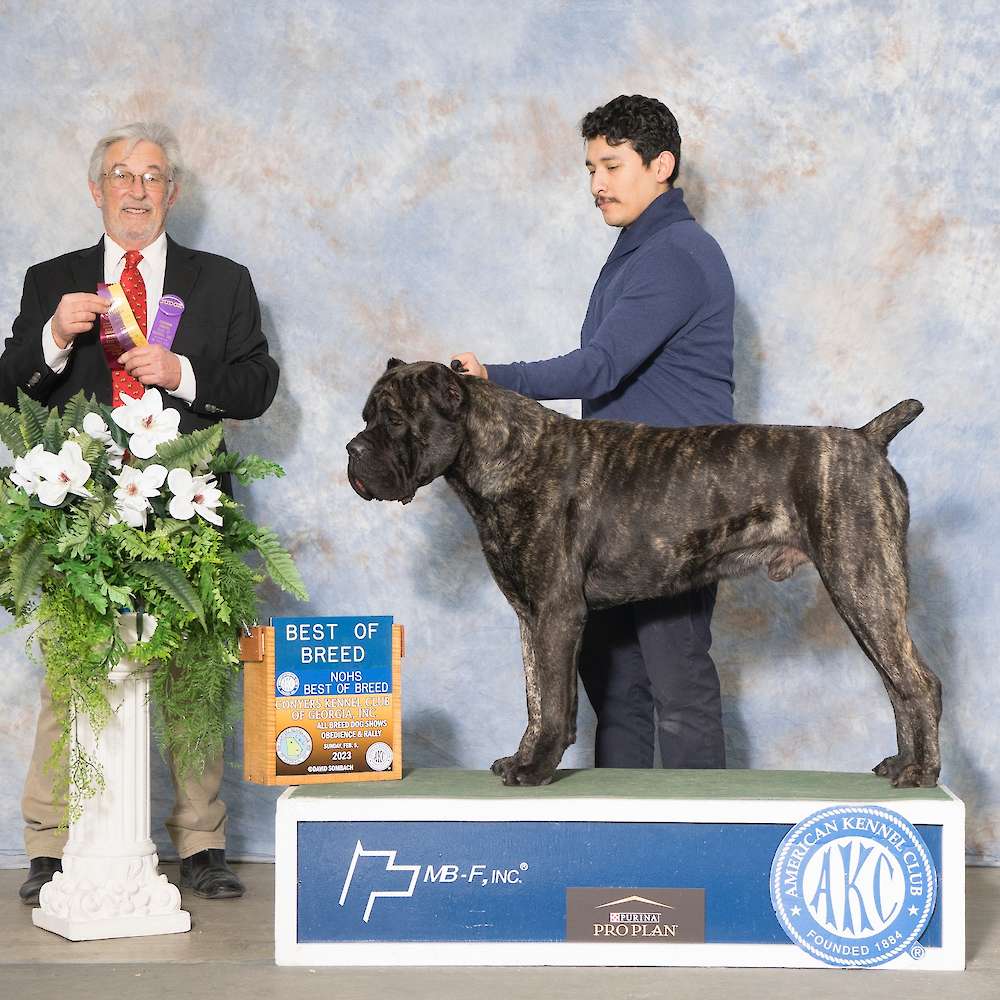 Castillo’s Batista