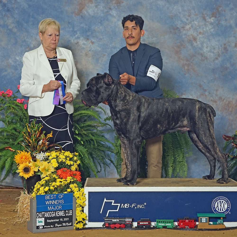 Castillo’s Batista