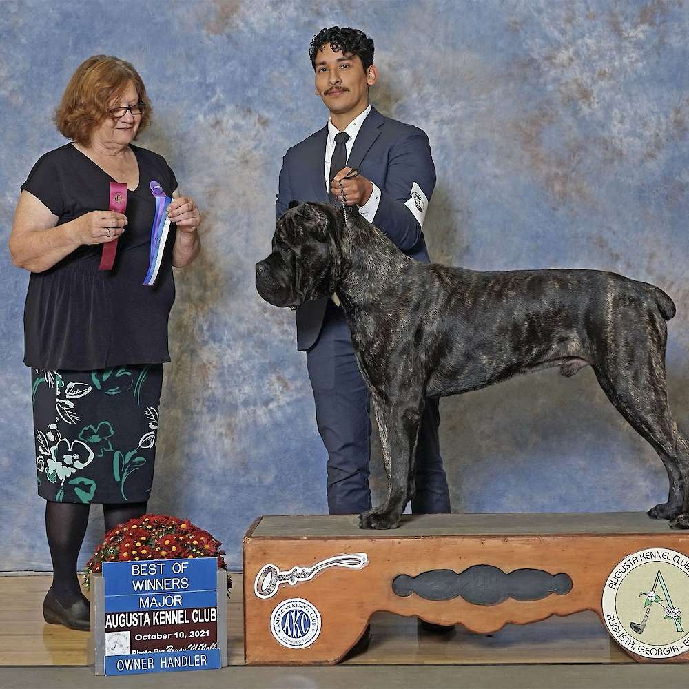 Castillo’s Batista