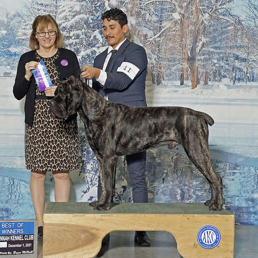 Castillo’s Batista