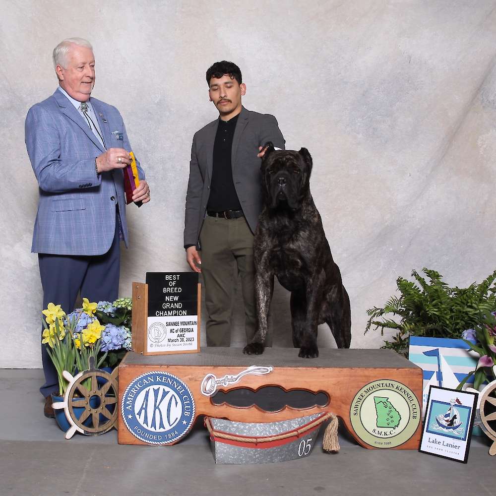 Castillo’s Batista