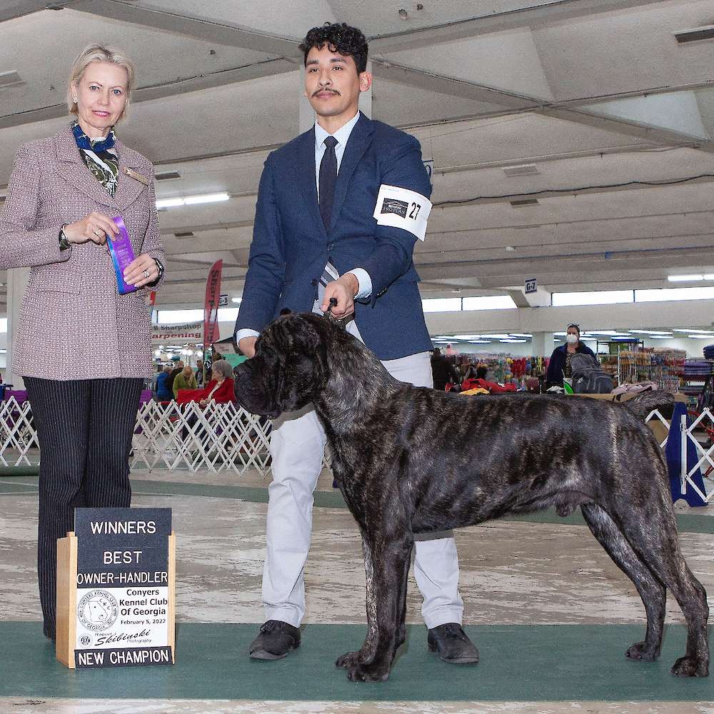 Castillo’s Batista