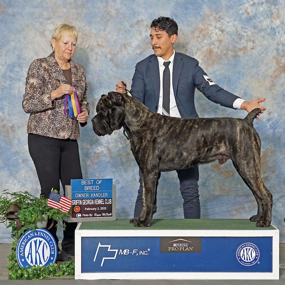 Castillo’s Batista