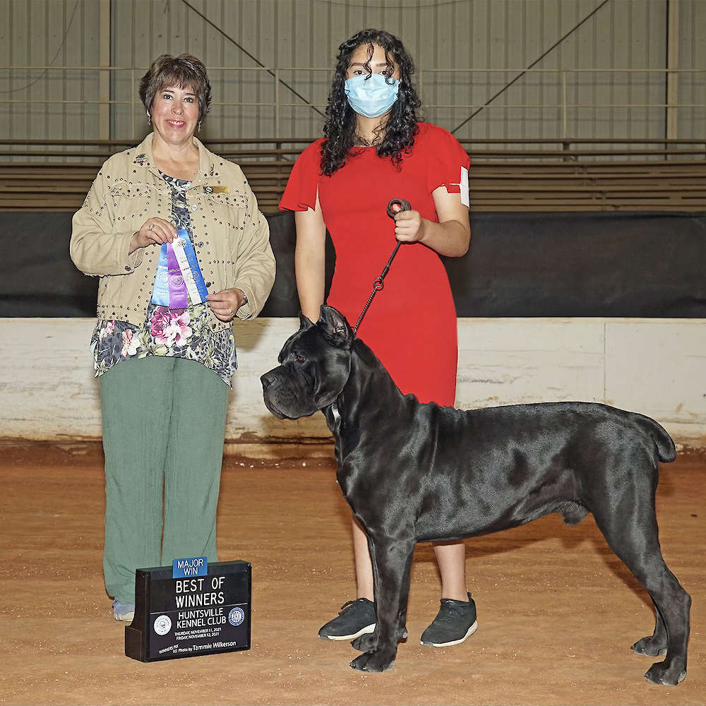 Manuel Di T Cane Dos Talarico